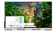 Thumbnail representing SMART board display, model RX series