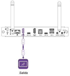 Conector de salida HDMI en el panel de conectores