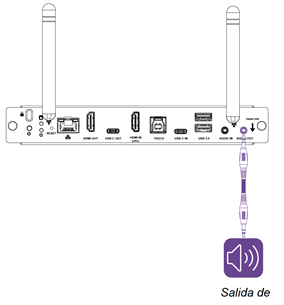 Conector de salida de audio en el panel de conectores