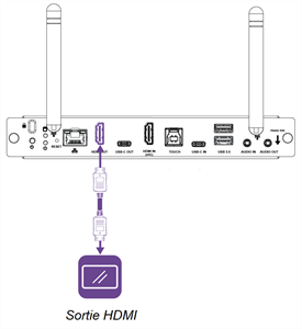 Connecteur de sortie HDMI du panneau de connexion