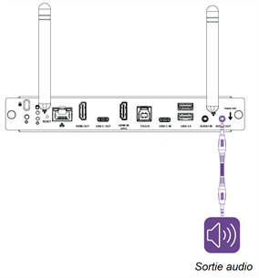 Connecteur de sortie audio du panneau de connexion