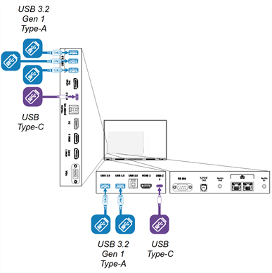 USB receptacles on the back and front of the display